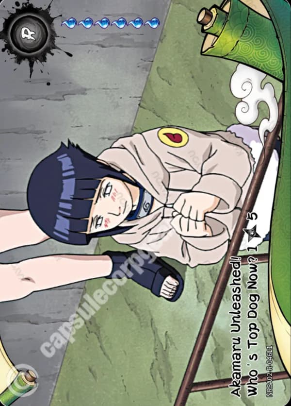 Akamaru Unleashed! Who's Top Dog Now? 1