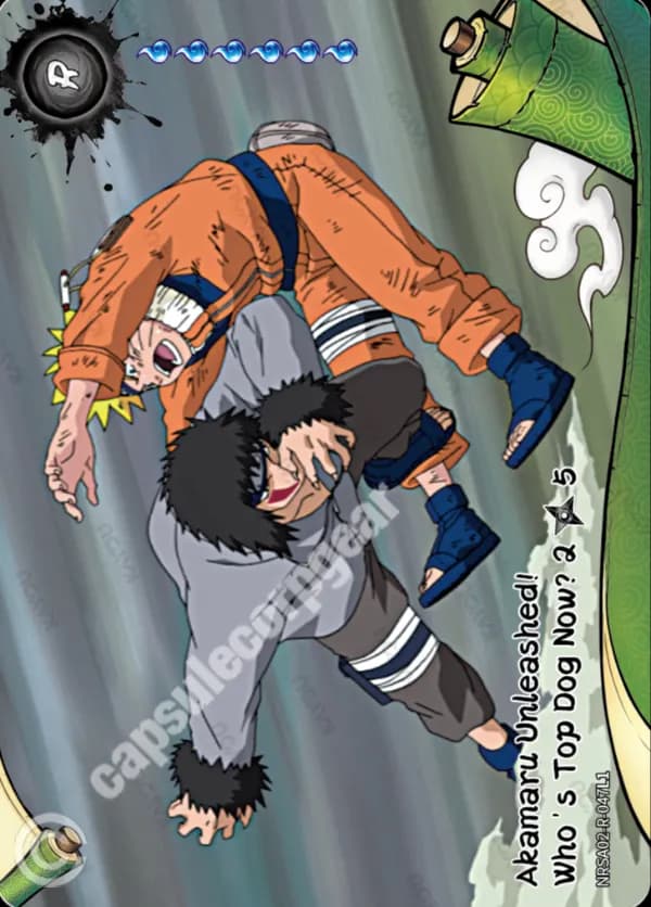 Akamaru Unleashed! Who's Top Dog Now? 2