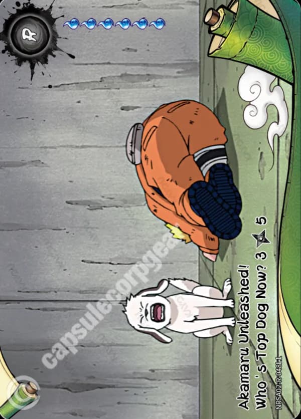 Akamaru Unleashed! Who's Top Dog Now? 3