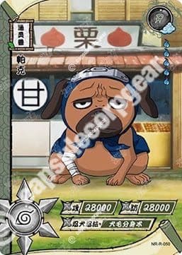Pakkun